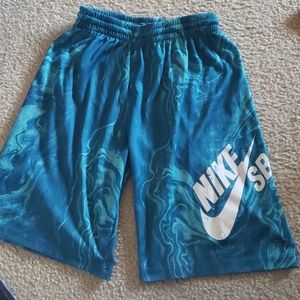 Nike SB blue basketball shorts